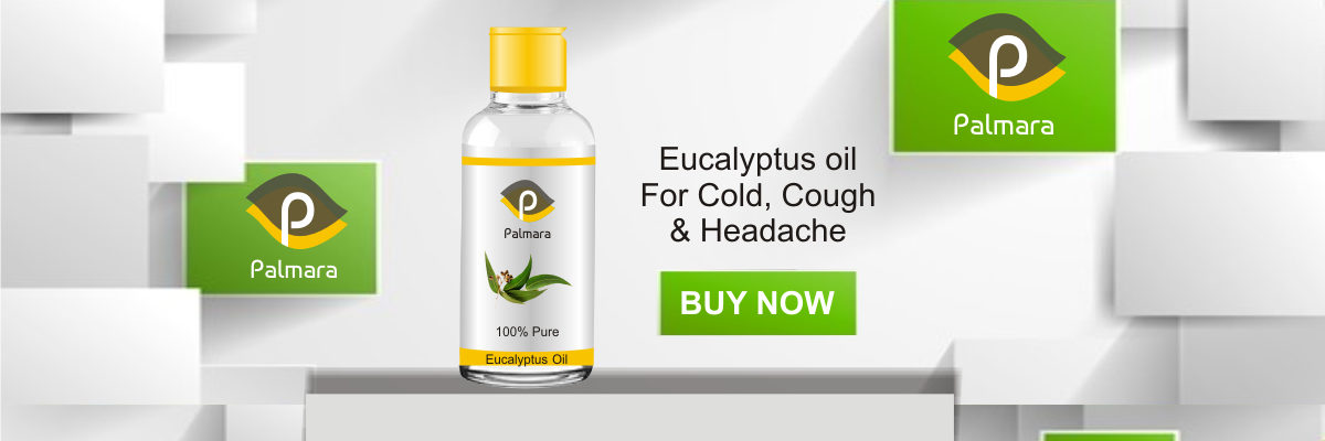 buy eucalyptus oil