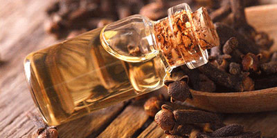 eucalyptus oil online, ooty eucalyptus oil online, nilgiri oil online, eucalyptus oil online purchase, buy nilgiris products online